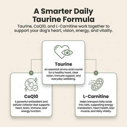 A smarter daily taurine formula - taurine, CoQ10, L-Carnitine