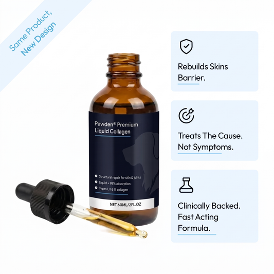 Pawden Premium Liquid Collagen bottle with dropper and key benefits