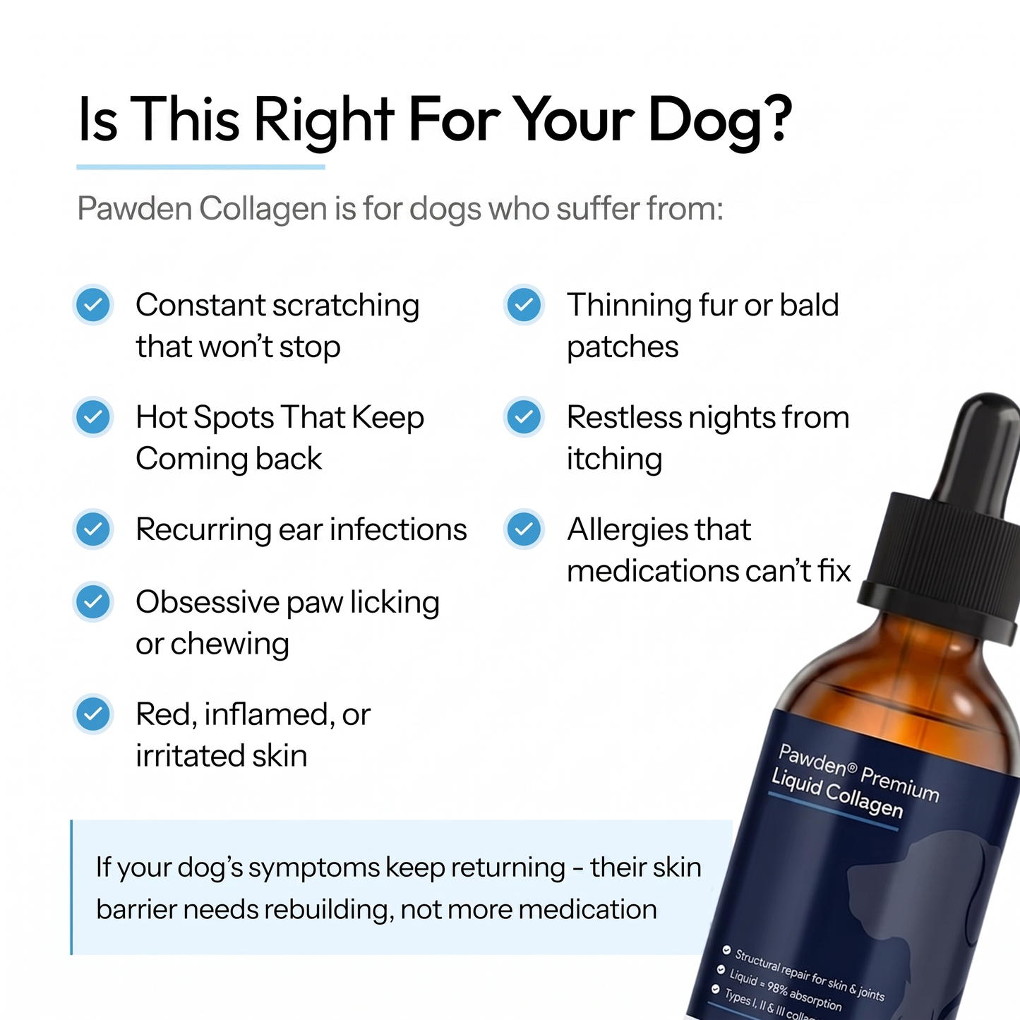Is Pawden Collagen right for your dog?