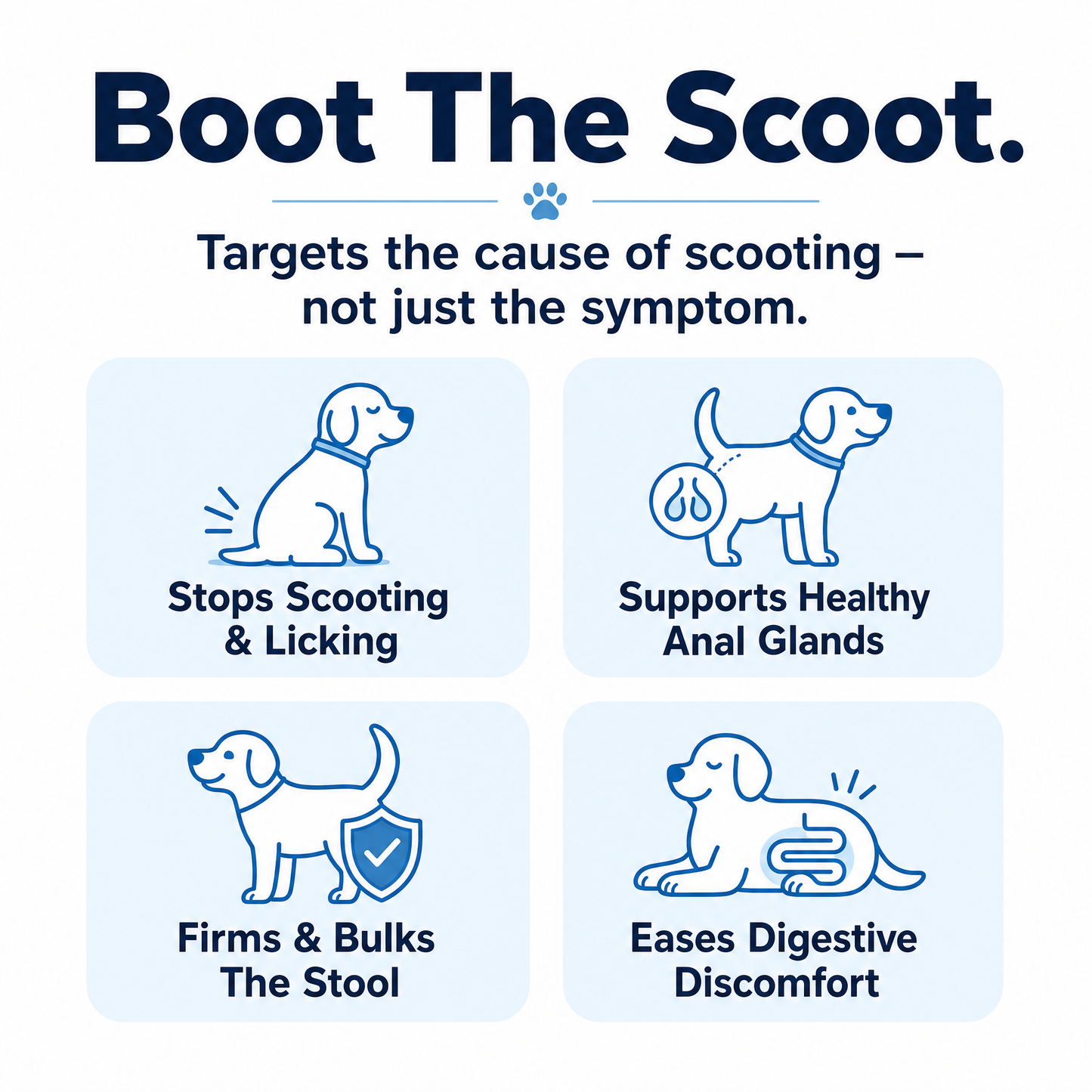 Boot the scoot - targets the cause of scooting