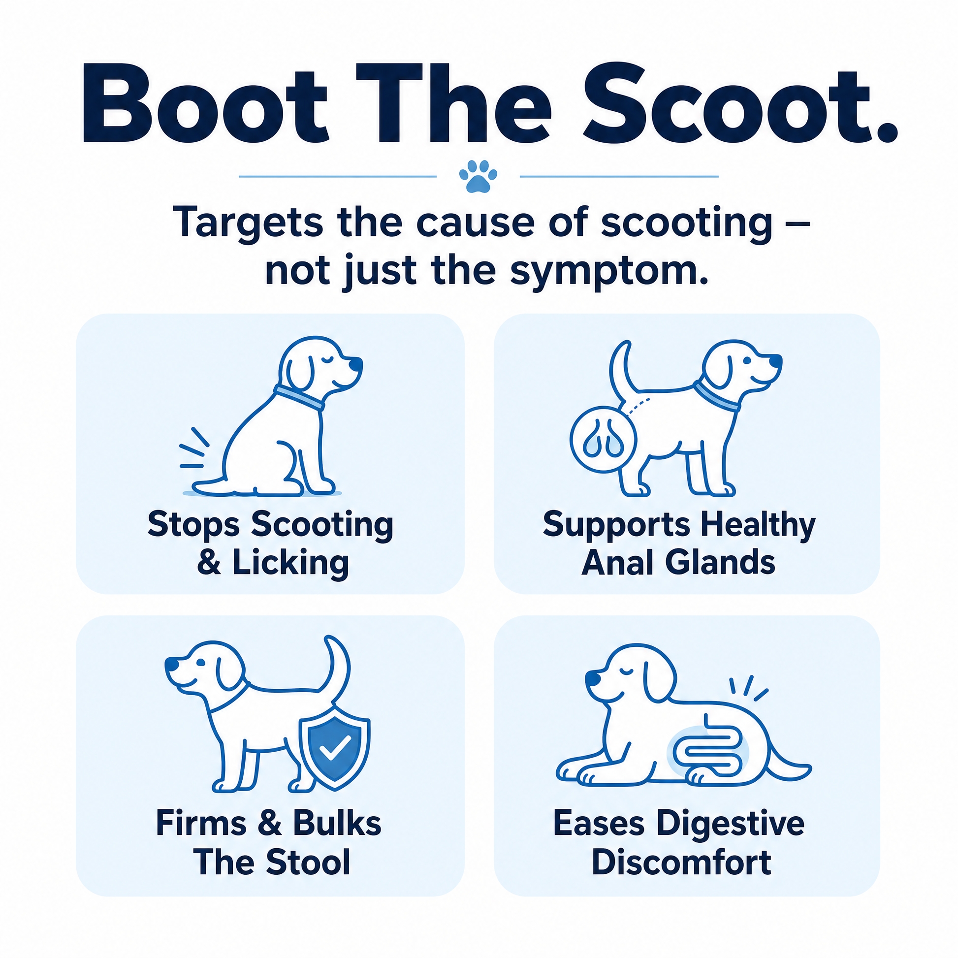 Boot the scoot - targets the cause of scooting