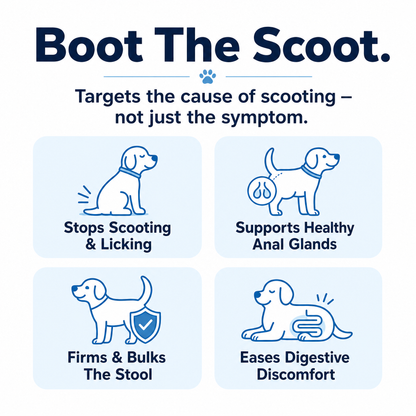 Boot the scoot - targets the cause of scooting