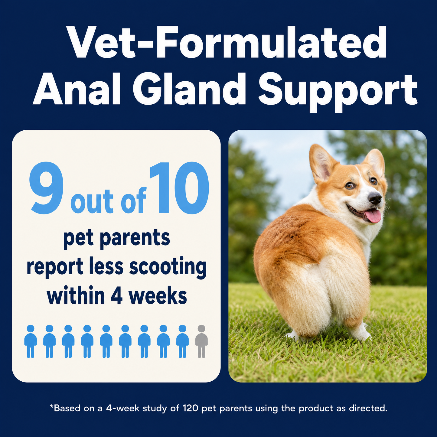 Vet-formulated anal gland support - 9 out of 10 report less scooting